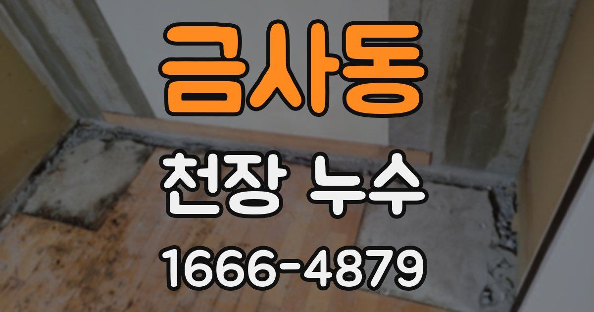금사동 천장 누수