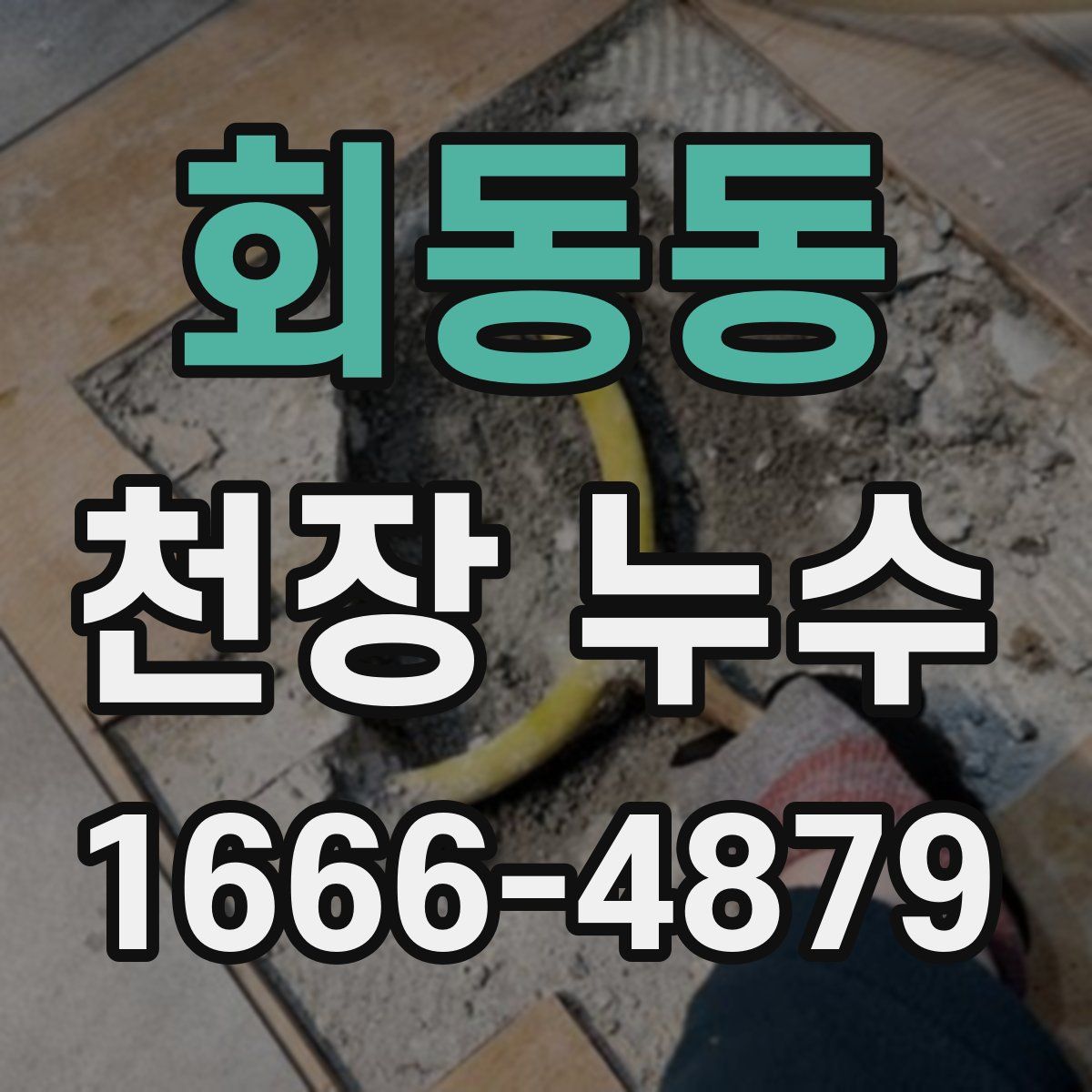 회동동 천장 누수