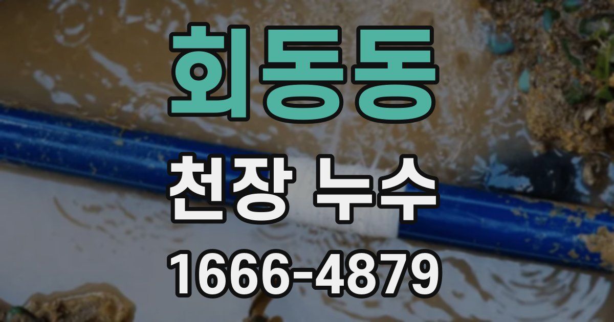 회동동 천장 누수