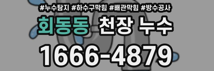 회동동 천장 누수