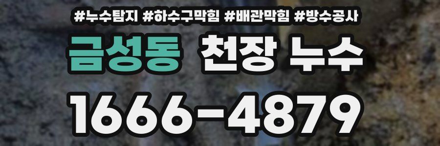 금성동 천장 누수