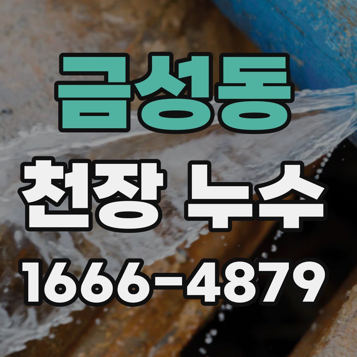 금성동 천장 누수