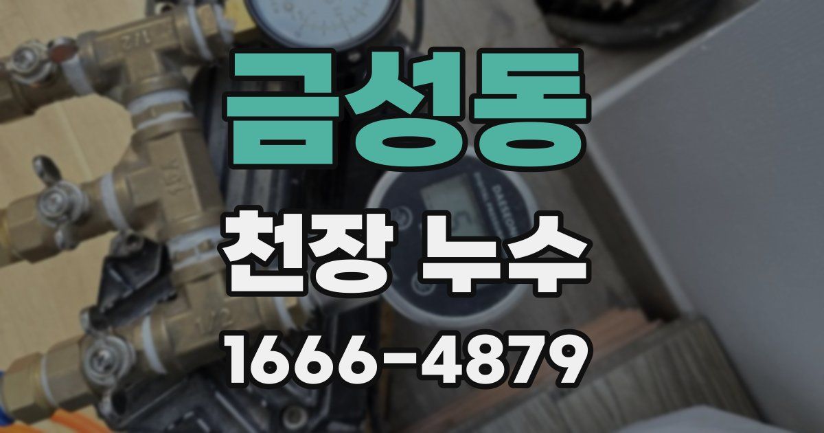 금성동 천장 누수
