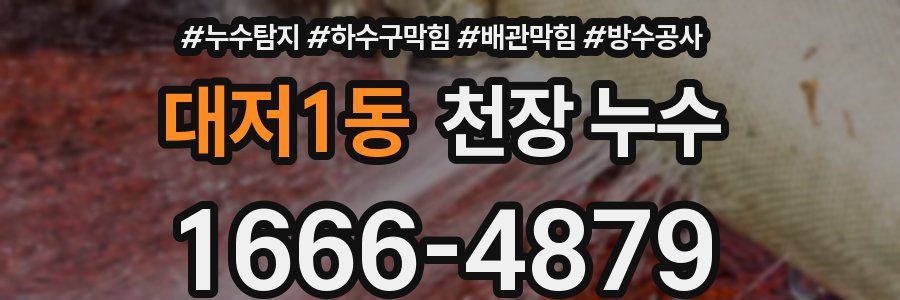 대저1동 천장 누수