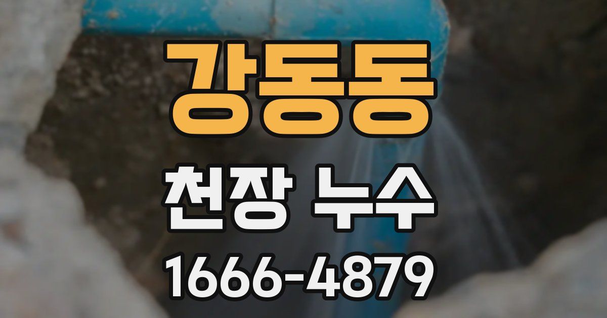 강동동 천장 누수