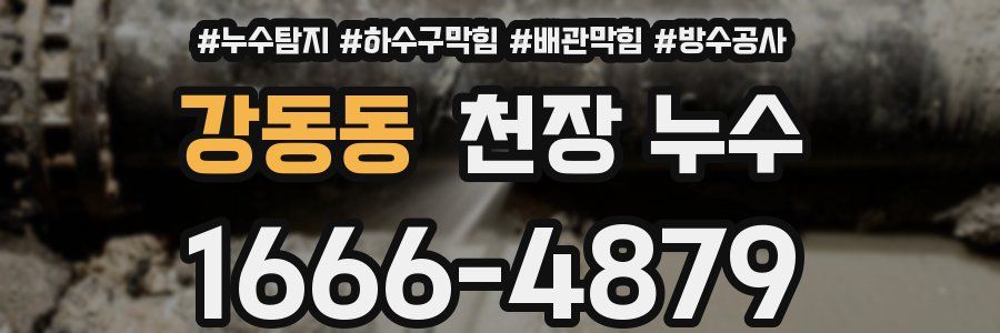 강동동 천장 누수