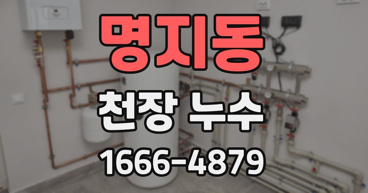 명지동 천장 누수