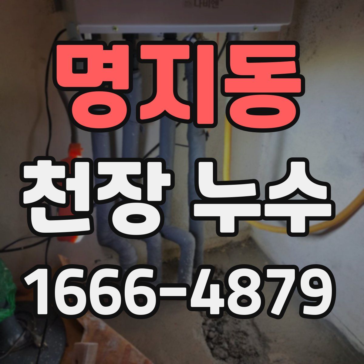 명지동 천장 누수