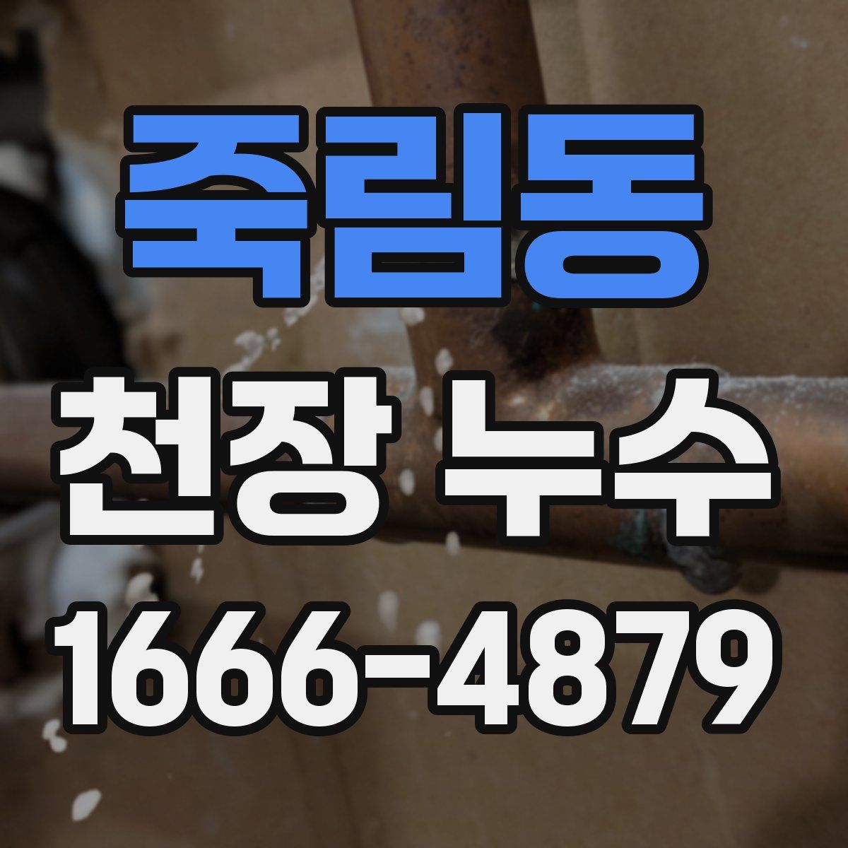 죽림동 천장 누수