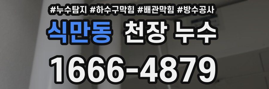 식만동 천장 누수