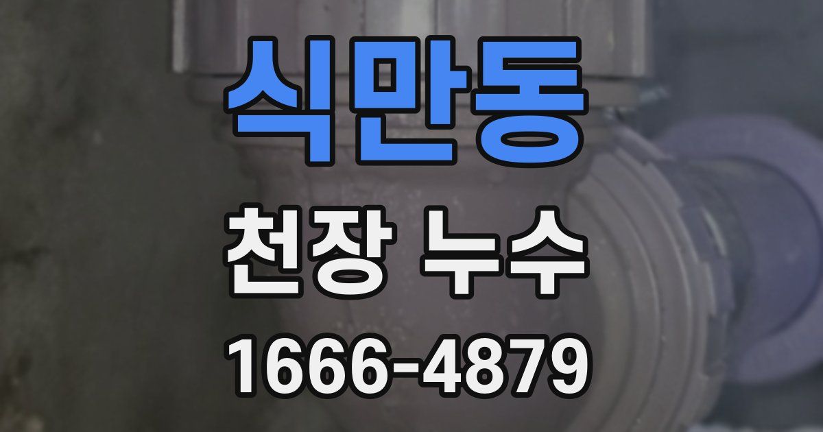 식만동 천장 누수
