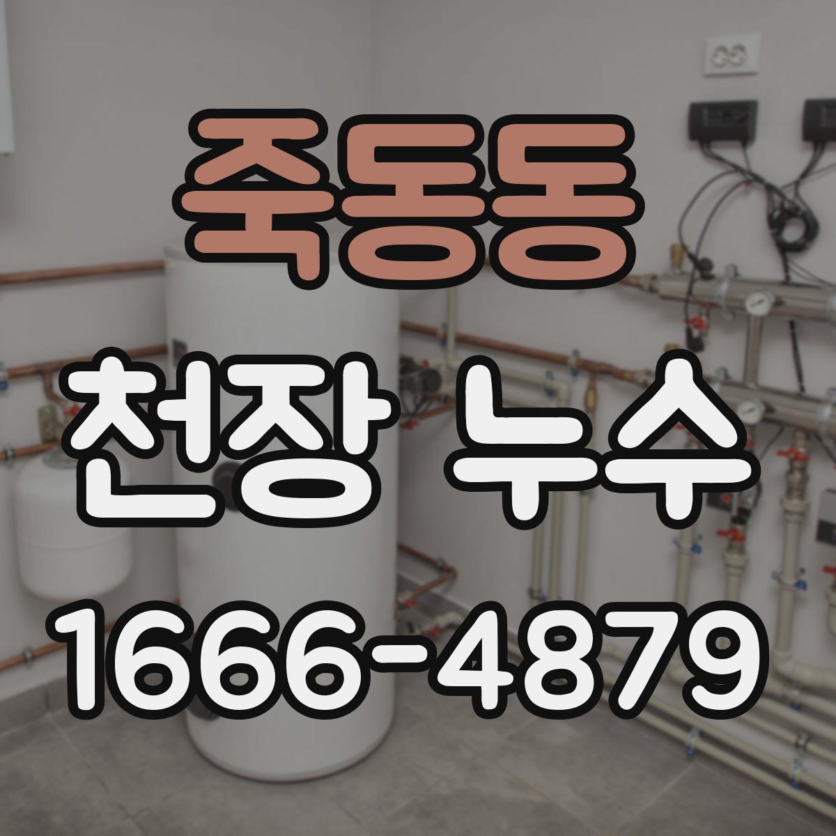 죽동동 천장 누수