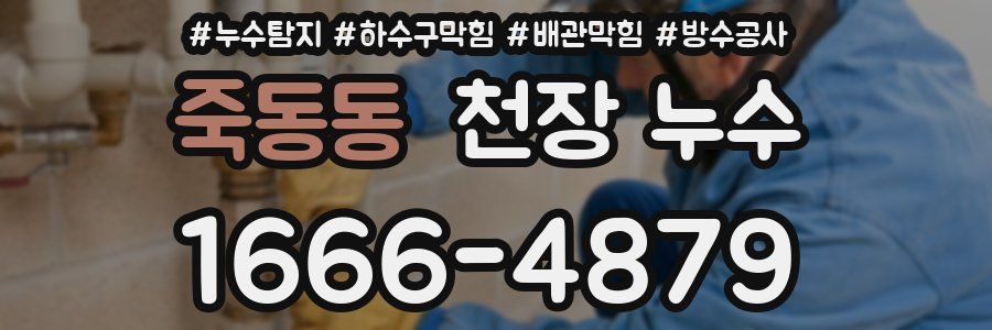 죽동동 천장 누수