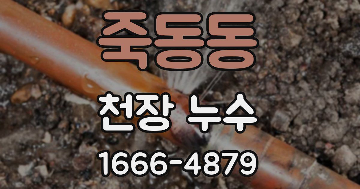 죽동동 천장 누수
