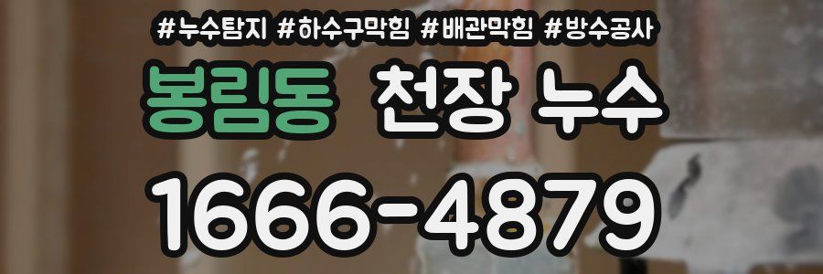 봉림동 천장 누수