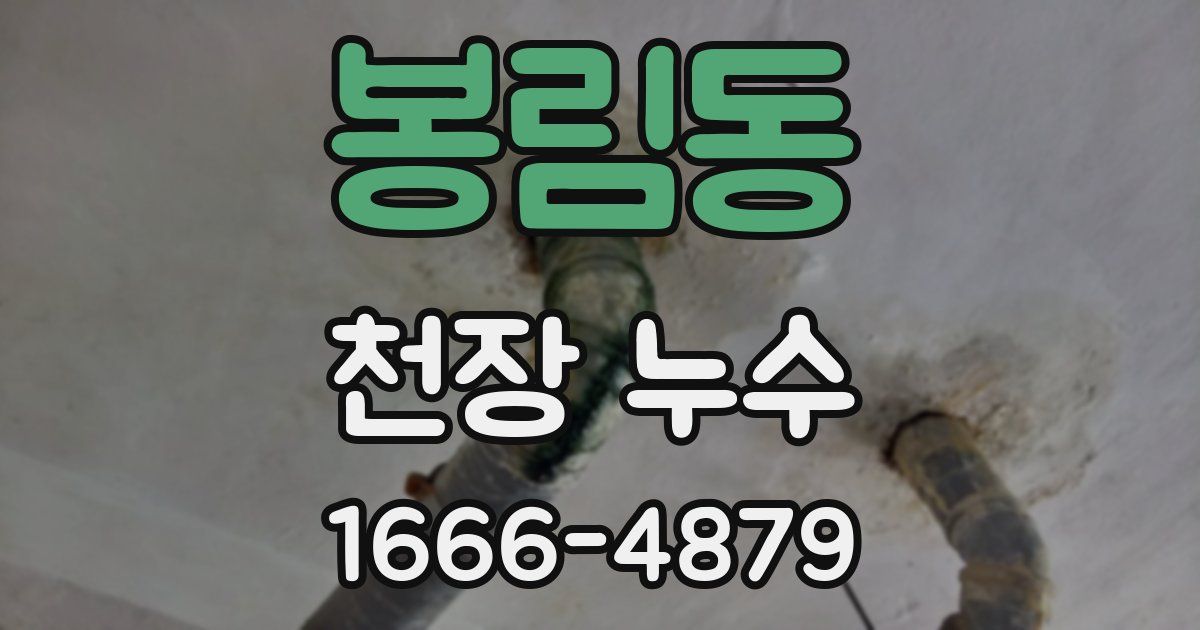 봉림동 천장 누수