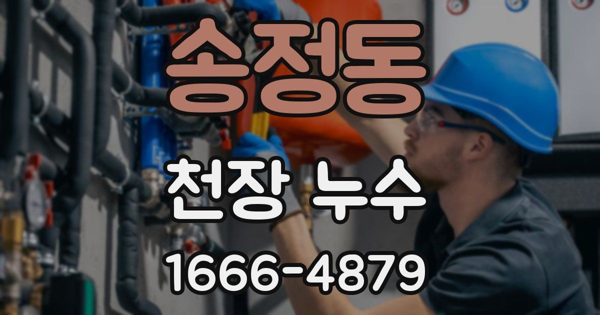 송정동 천장 누수