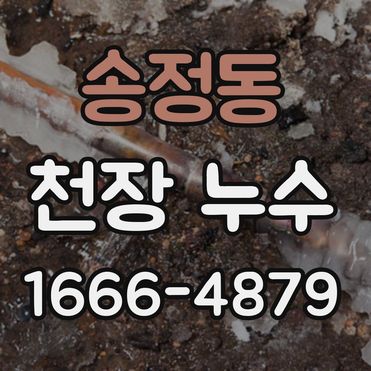 송정동 천장 누수