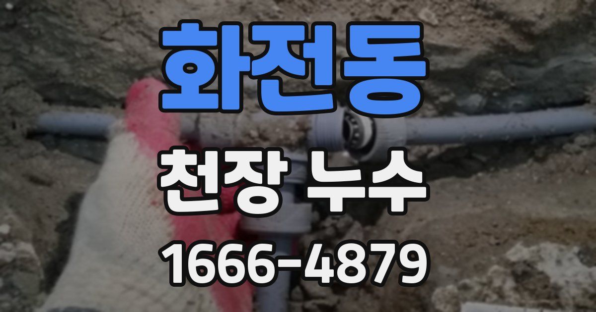 화전동 천장 누수