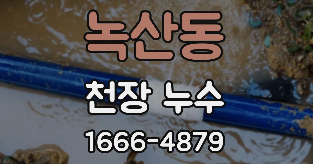 녹산동 천장 누수