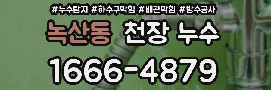 녹산동 천장 누수