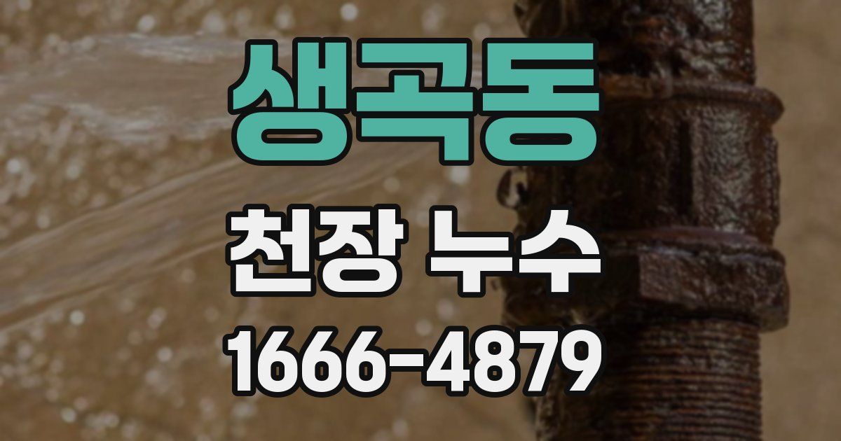 생곡동 천장 누수