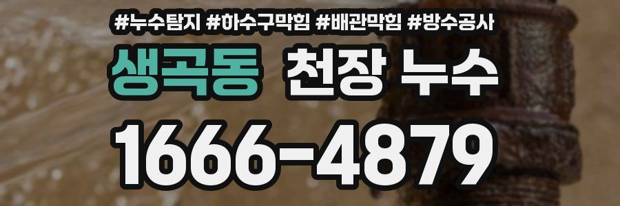 생곡동 천장 누수