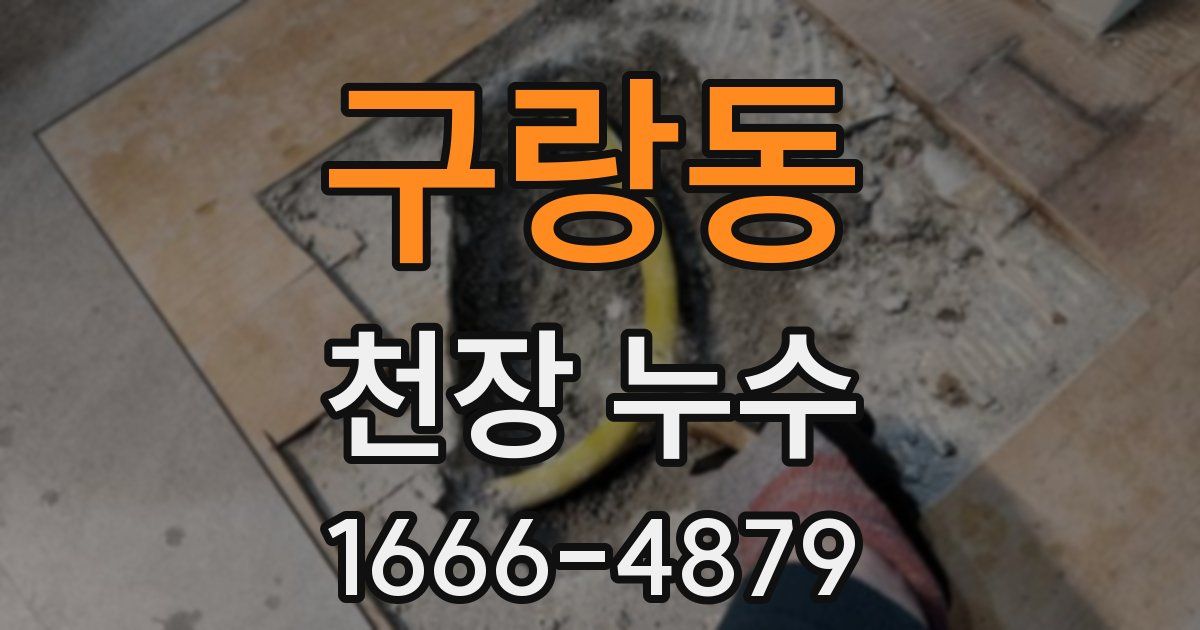 구랑동 천장 누수