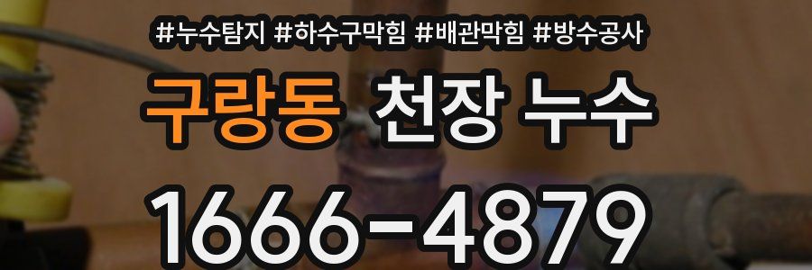 구랑동 천장 누수
