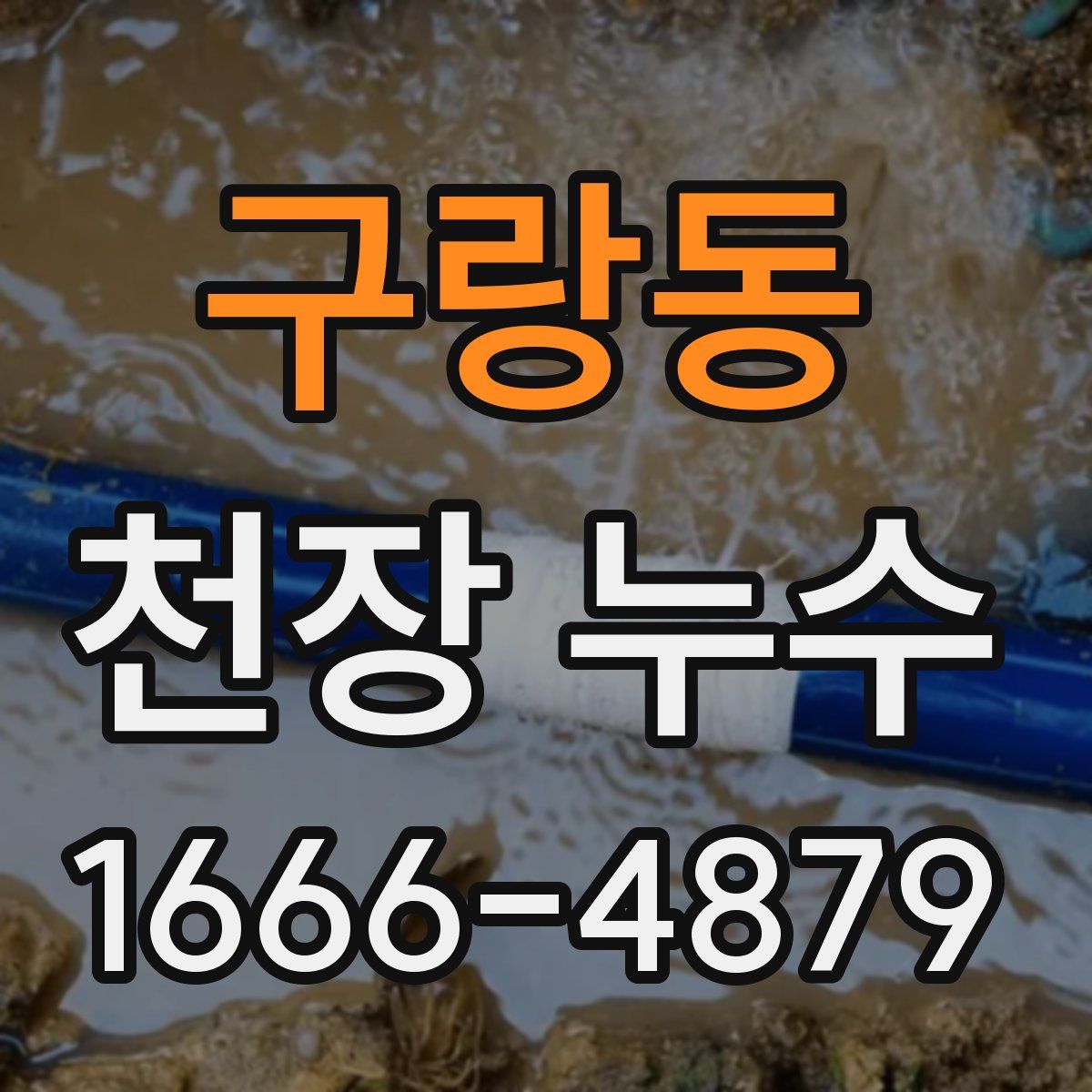 구랑동 천장 누수