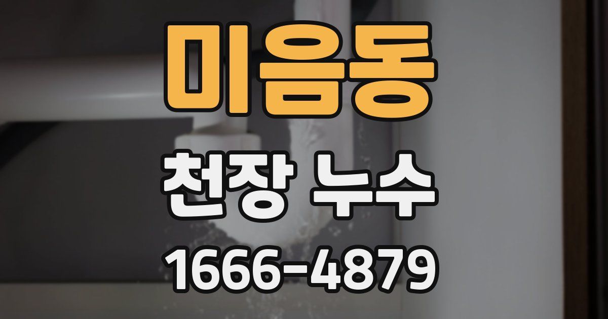 미음동 천장 누수