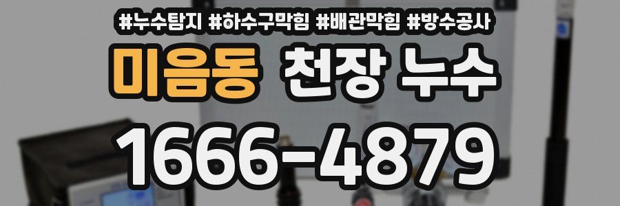 미음동 천장 누수