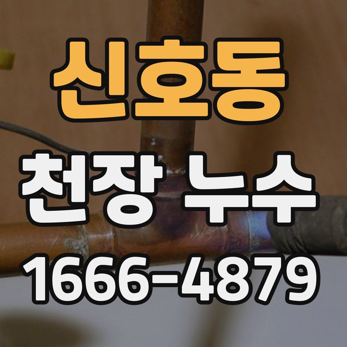 신호동 천장 누수