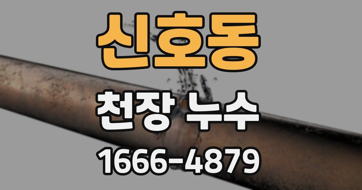 신호동 천장 누수
