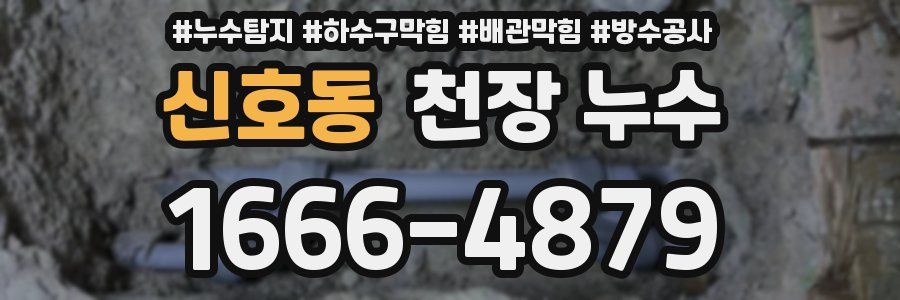 신호동 천장 누수