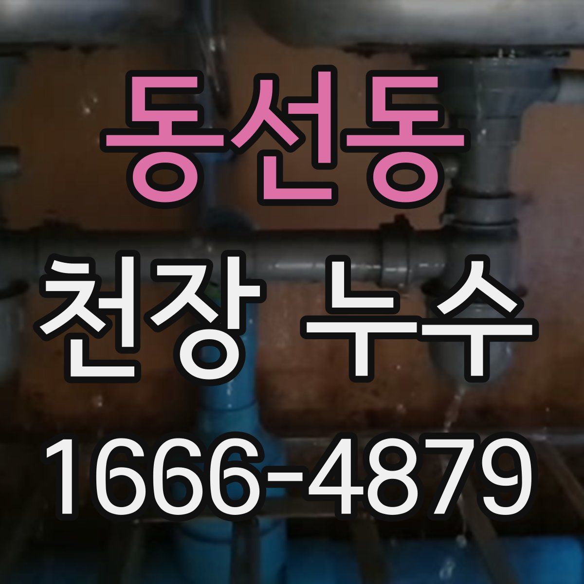 동선동 천장 누수