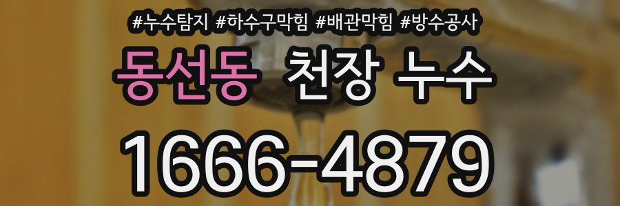 동선동 천장 누수