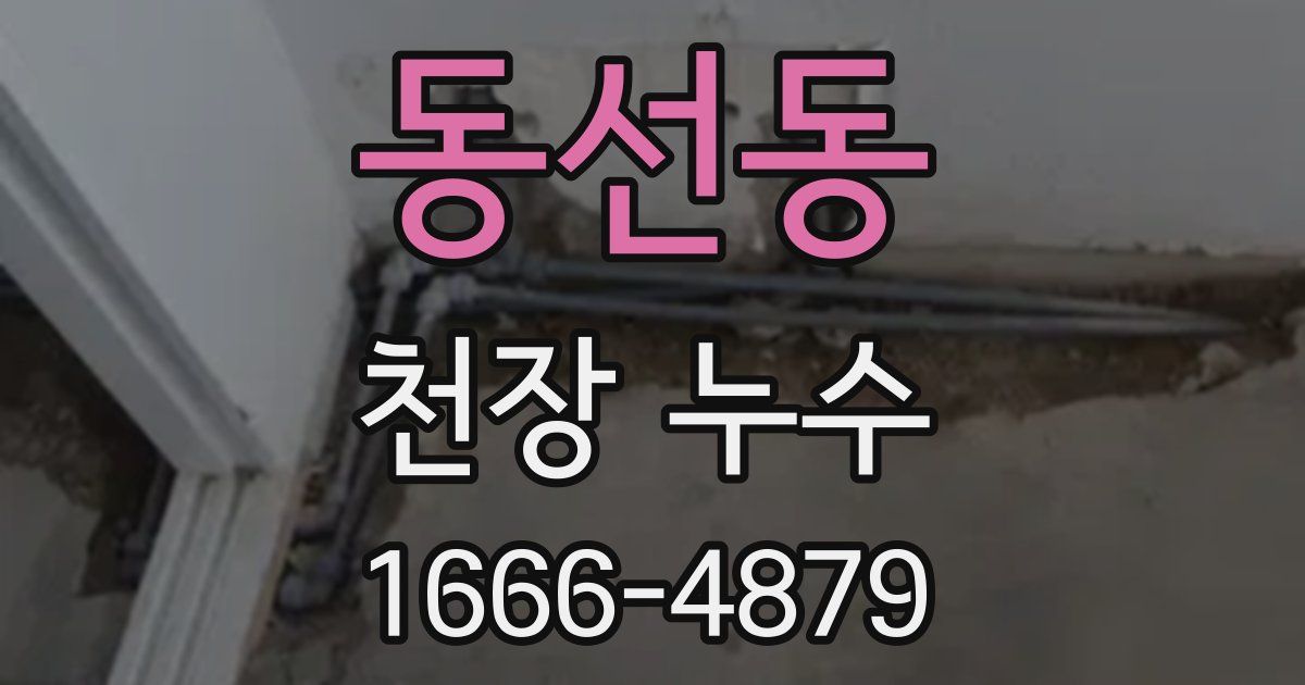 동선동 천장 누수