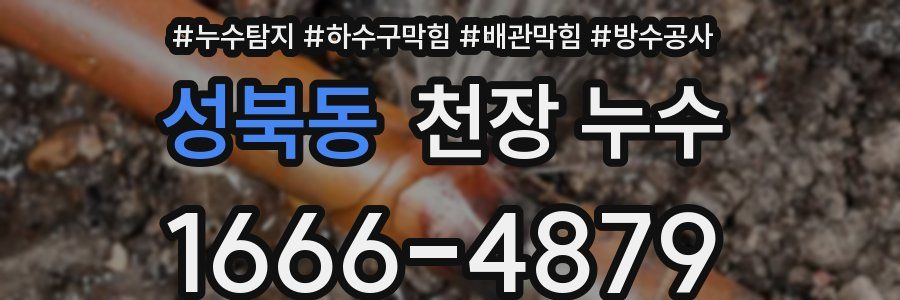 성북동 천장 누수