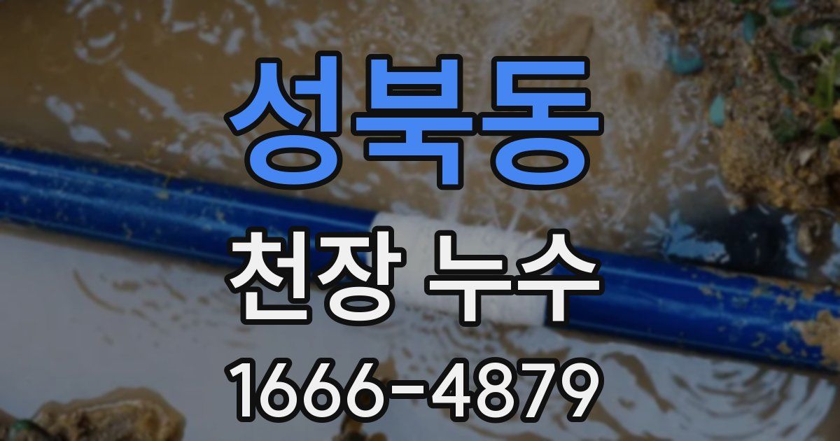 성북동 천장 누수