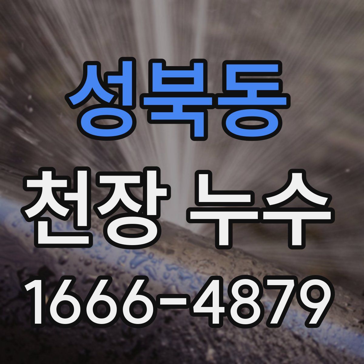 성북동 천장 누수