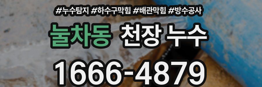 눌차동 천장 누수