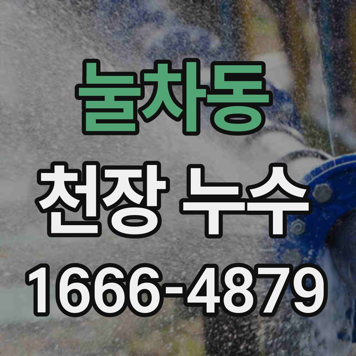눌차동 천장 누수