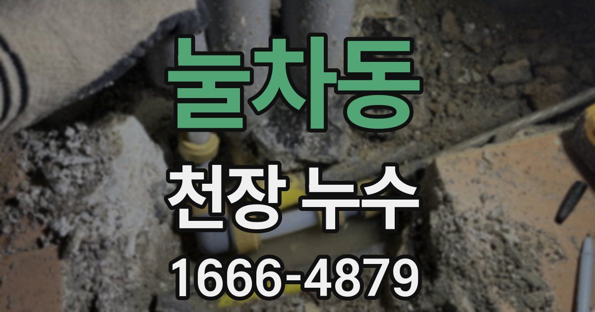 눌차동 천장 누수