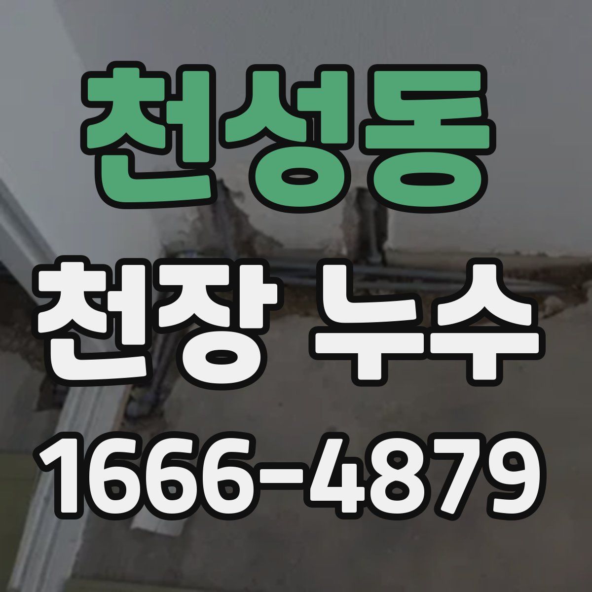 천성동 천장 누수