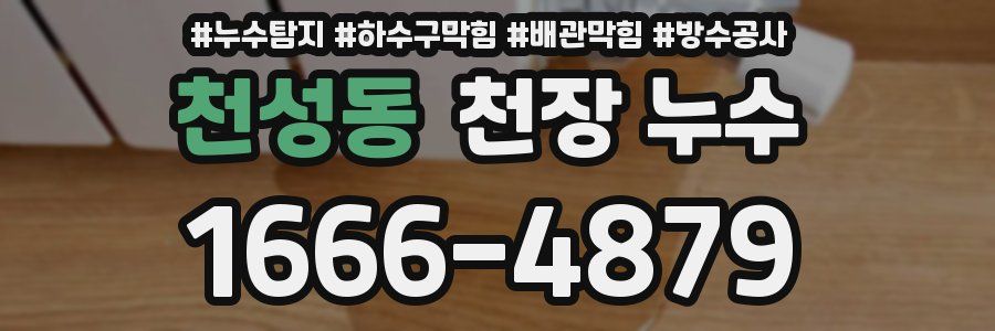 천성동 천장 누수