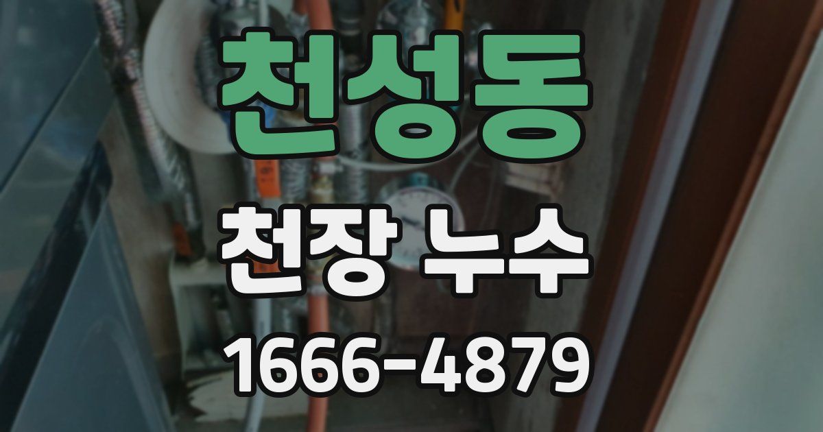 천성동 천장 누수