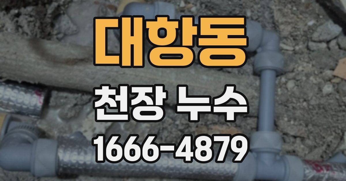 대항동 천장 누수
