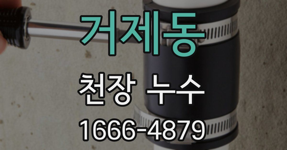 거제동 천장 누수