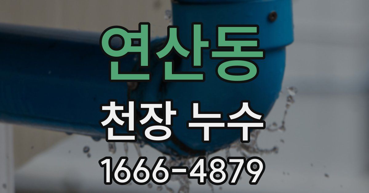연산동 천장 누수